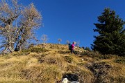 29 Sul costone erboso  accidentato in salita all'Arete
